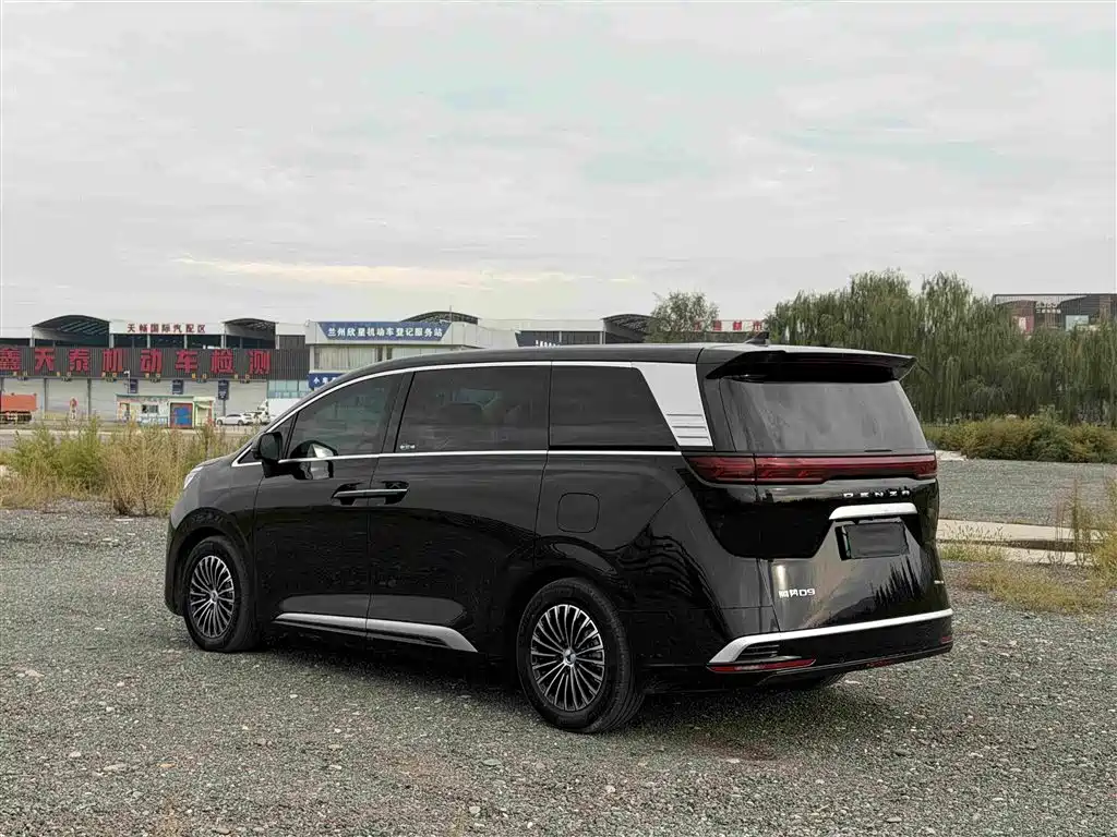 Denza Denza D9 — миниатюра 6