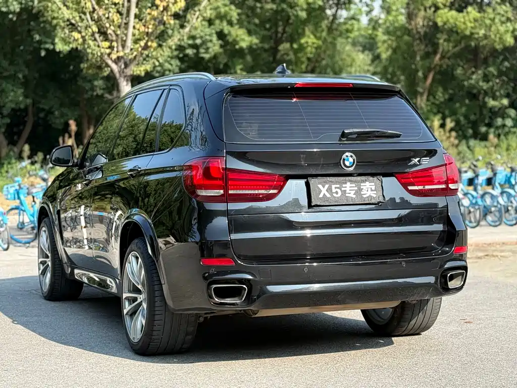 BMW X5 (Import) — миниатюра 6
