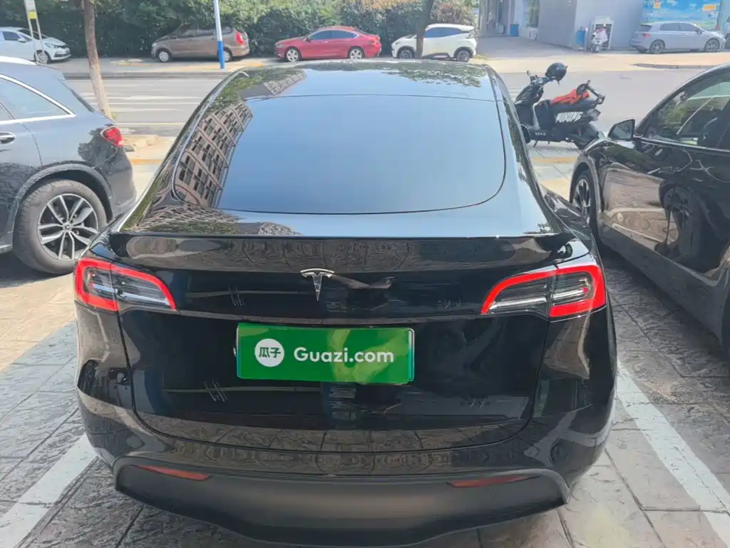 Tesla Model Y — миниатюра 6
