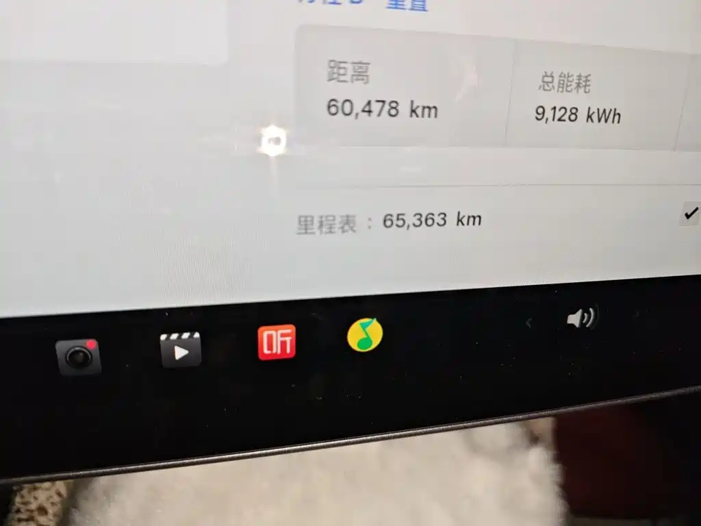Tesla Model Y — миниатюра 5