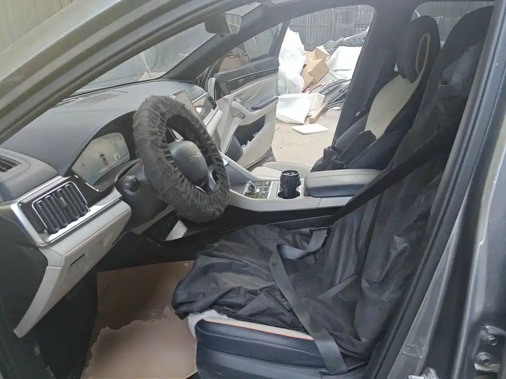 BYD PLUS New Energy — миниатюра 11
