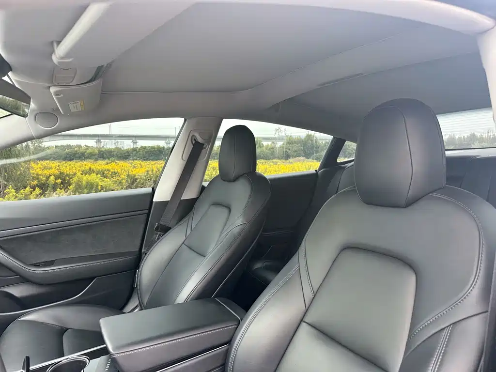 Tesla Model 3 — миниатюра 9