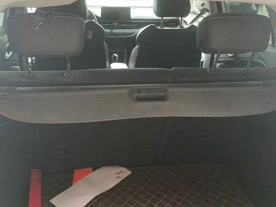 JAC JAC iEVS4 2019 Luxury Smart