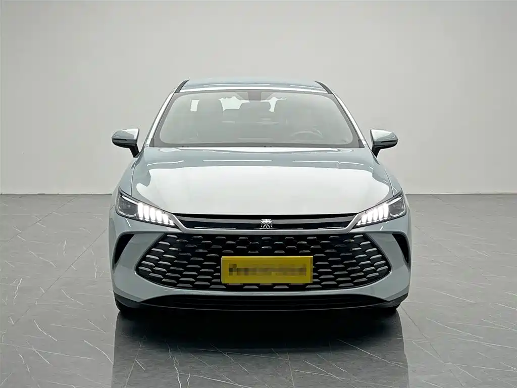 BYD Qin Plus PLUS 2025 DM-i Smart Drive 55KM Lead