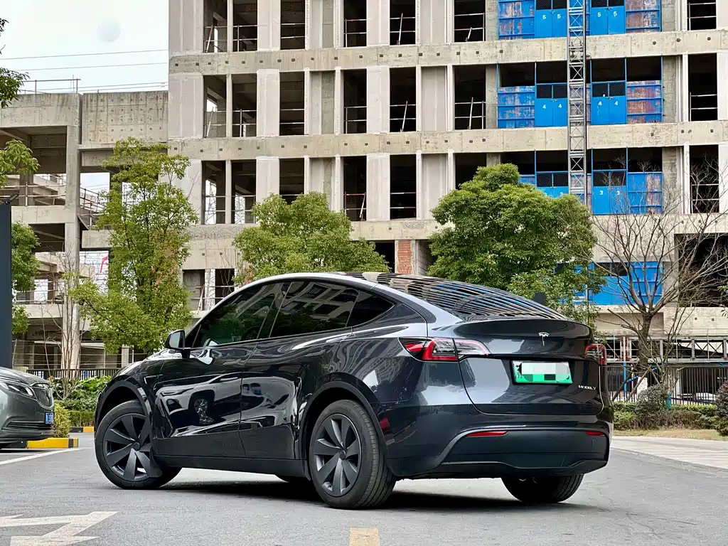 Tesla Model Y — миниатюра 20