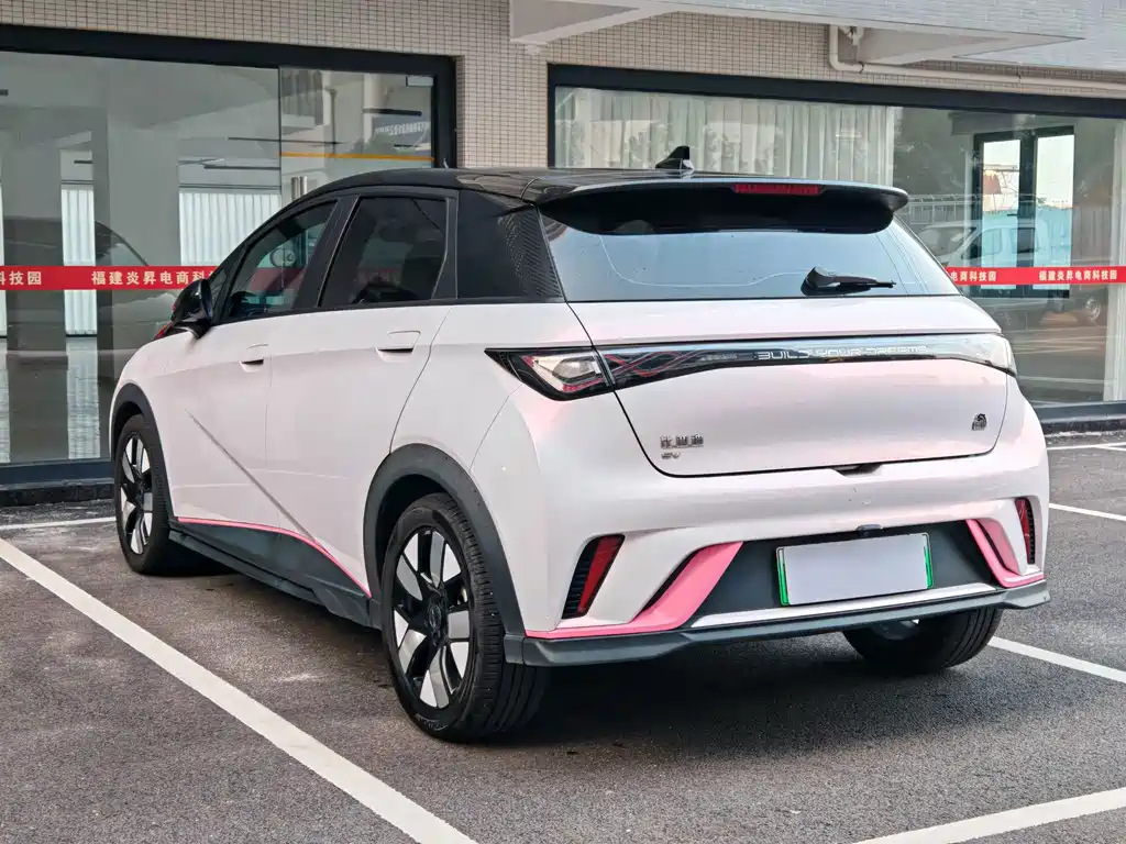 BYD Dolphin — миниатюра 5