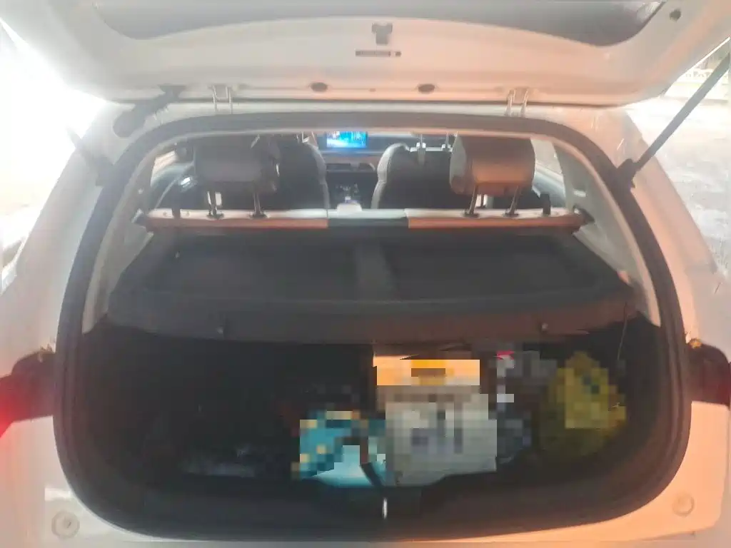 BYD e2 — миниатюра 15