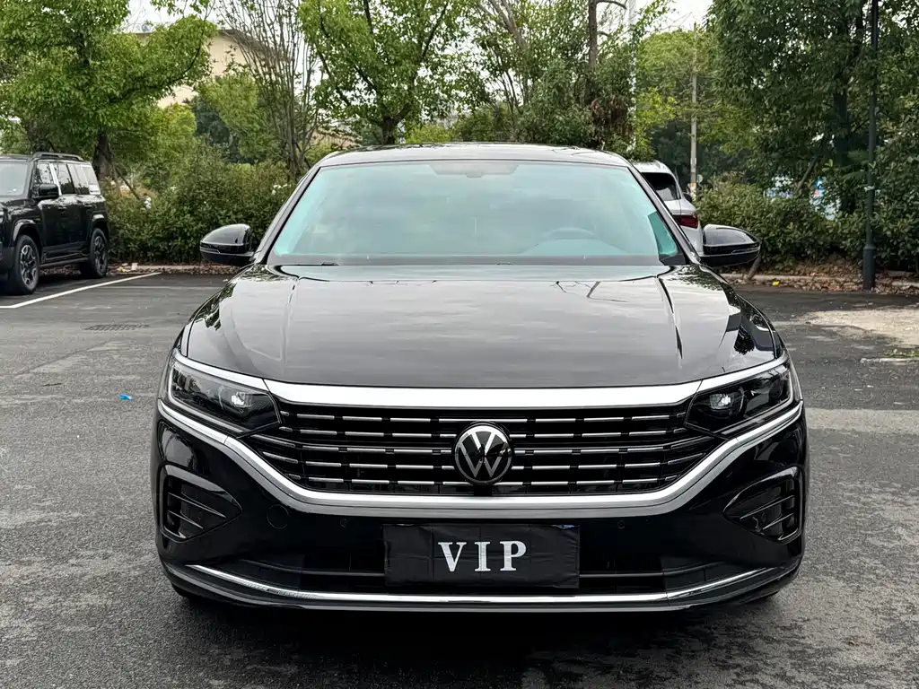 Volkswagen Passat — миниатюра 2