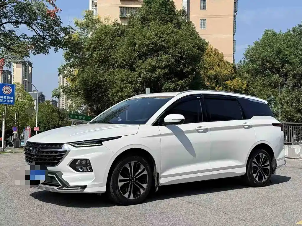 Wuling Victory