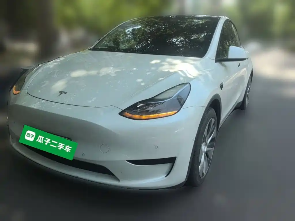 Tesla Model Y — миниатюра 2