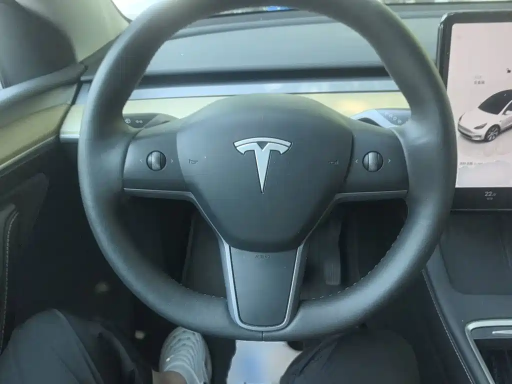 Tesla Model Y — миниатюра 3