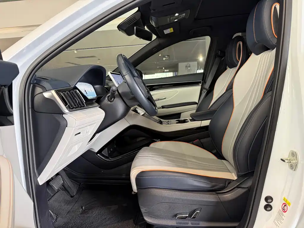 BYD PLUS New Energy — миниатюра 4