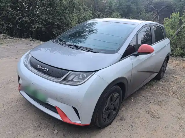 2021 BYD Dolphin