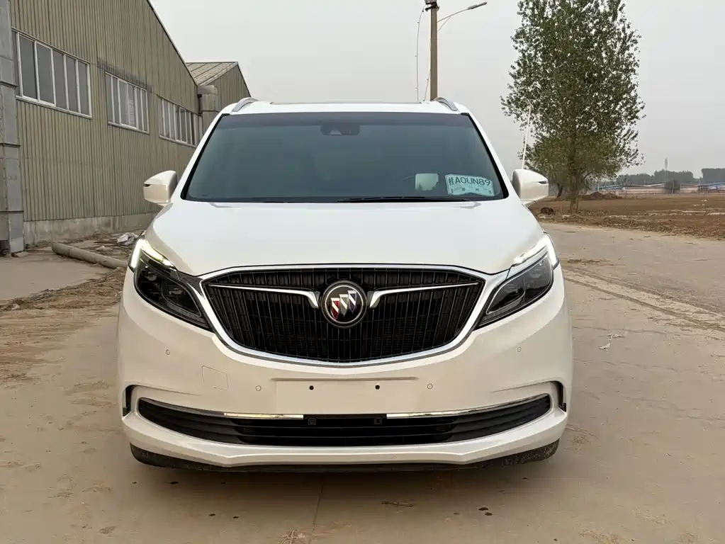 Buick GL8 — миниатюра 2
