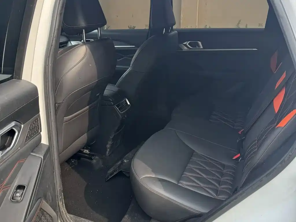 Haval Shenshou — миниатюра 9