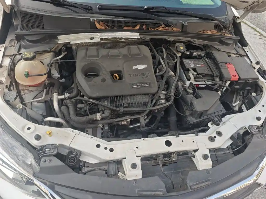 Chevrolet Cavalier — миниатюра 16