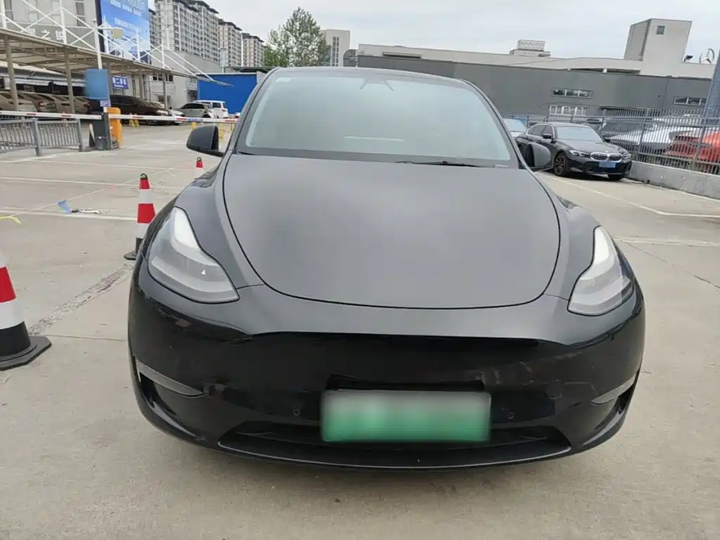 Tesla Model Y — миниатюра 3