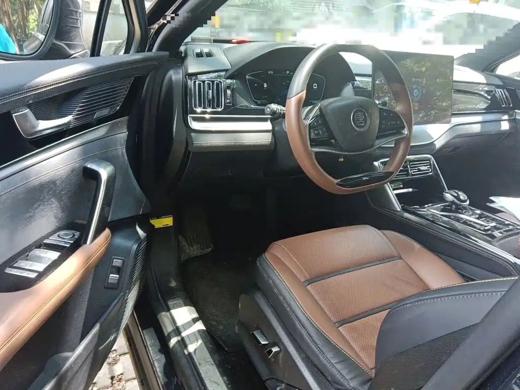 BYD Tang New Energy — миниатюра 17