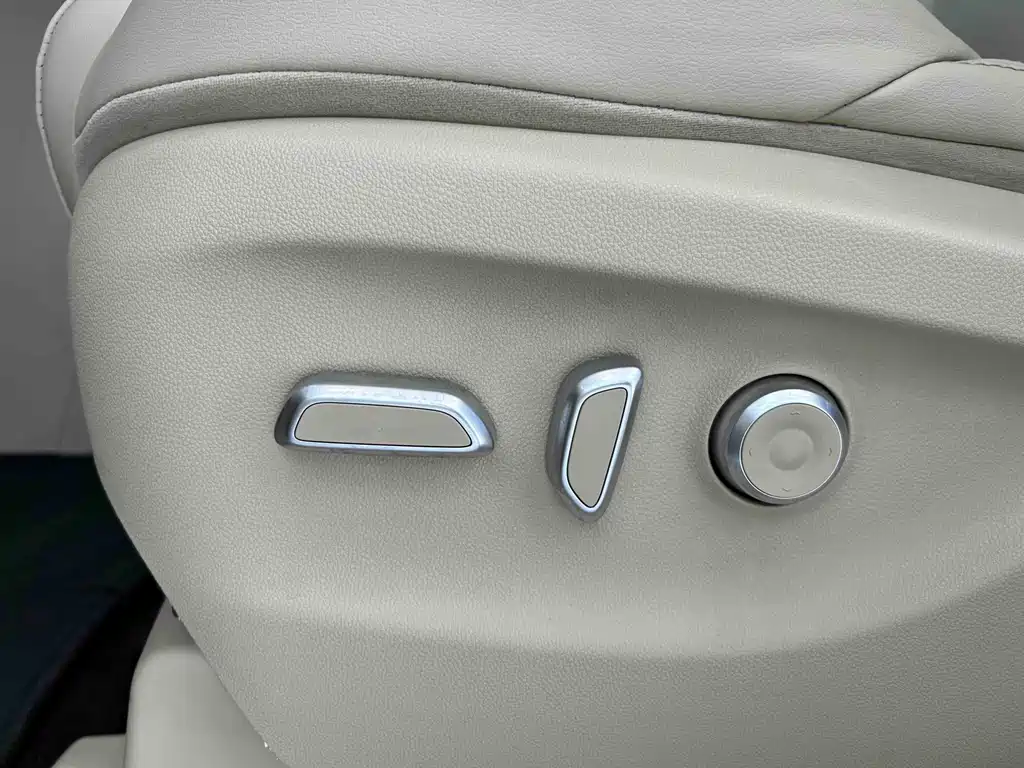 Buick GL8 — миниатюра 13