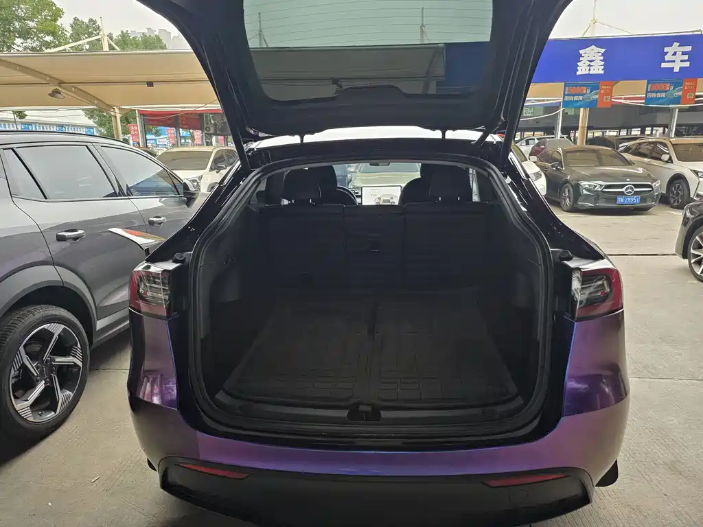 Tesla Model Y — миниатюра 8