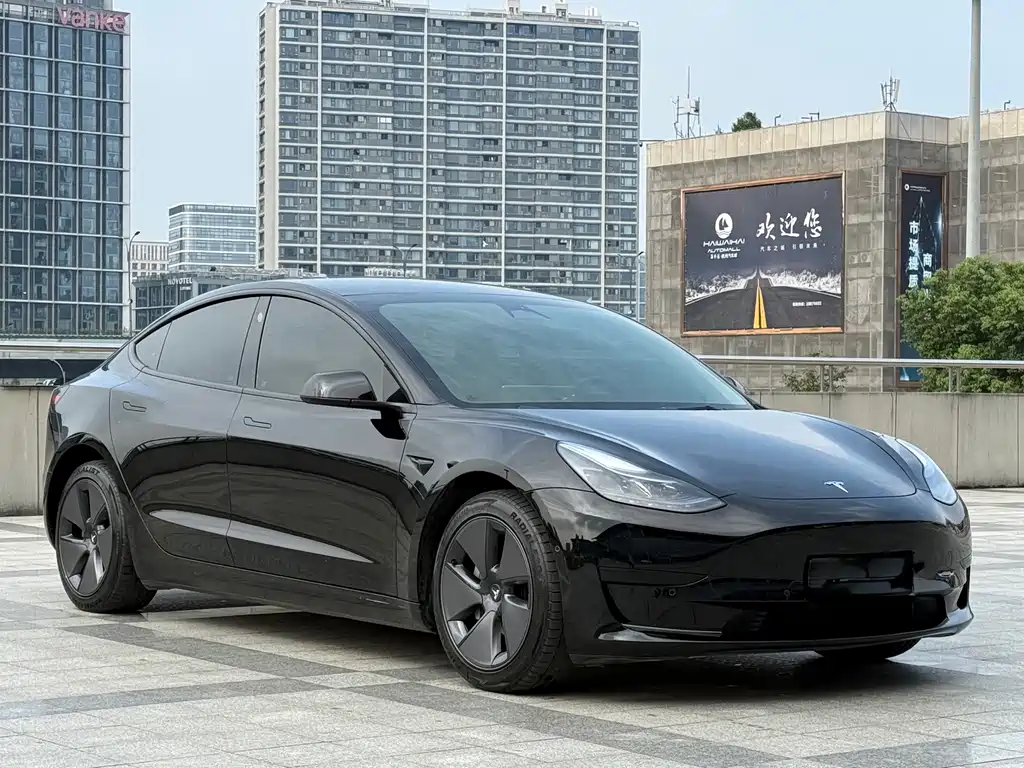 Tesla Model 3 — миниатюра 3