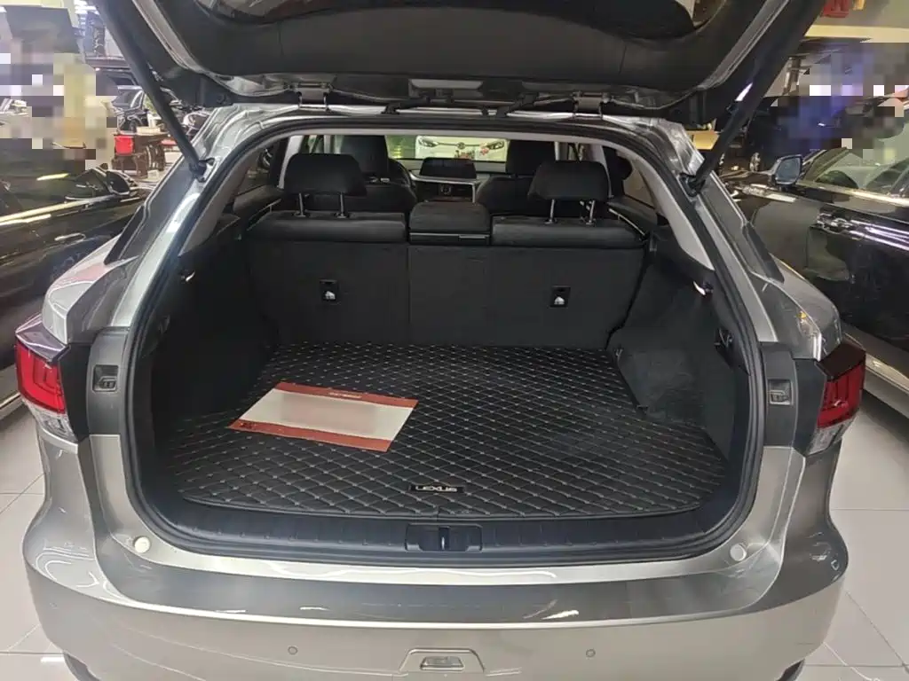 Lexus RX — миниатюра 19