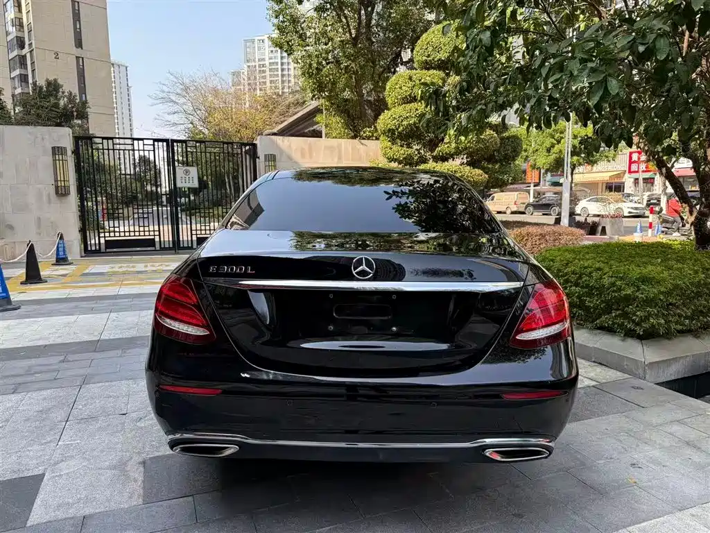 Mercedes-Benz E-Class E 2019 E 300 L Luxury