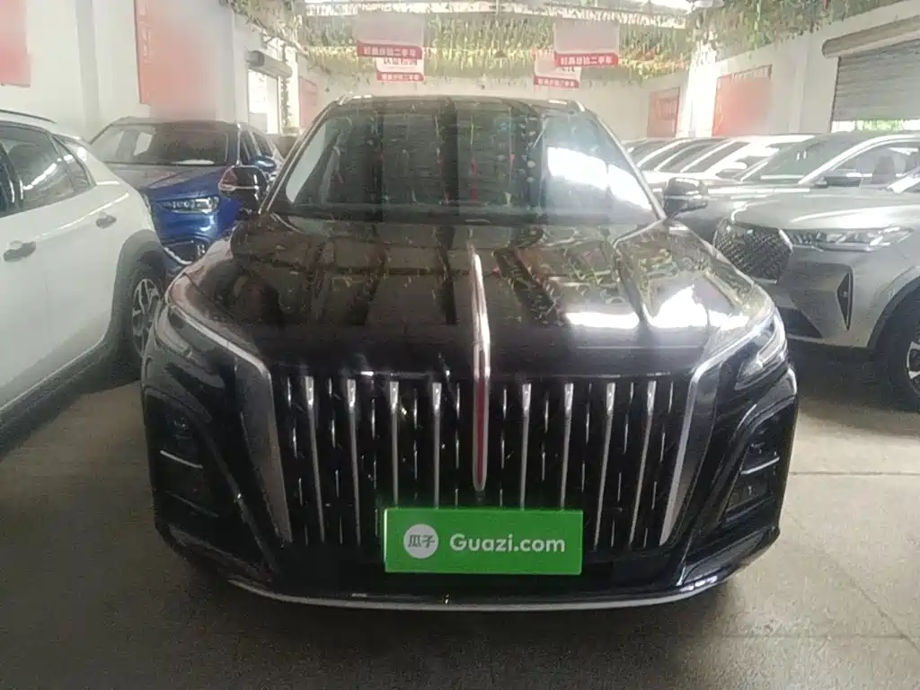 Hongqi Hongqi HS3 — миниатюра 3