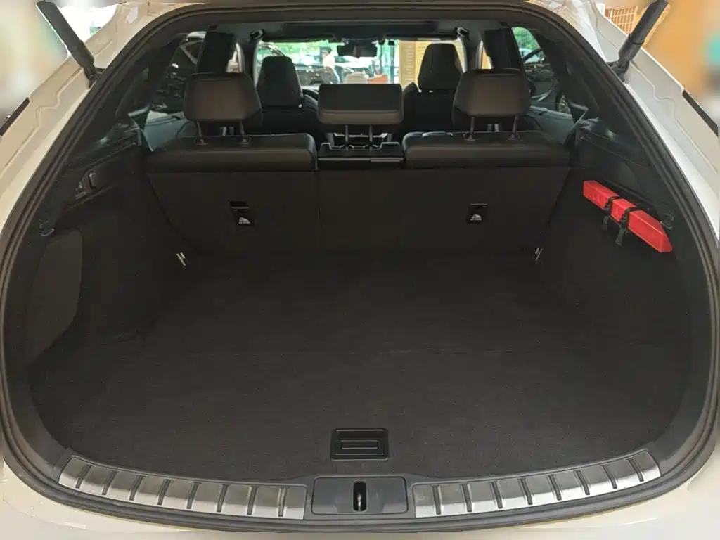 Lexus RX — миниатюра 24