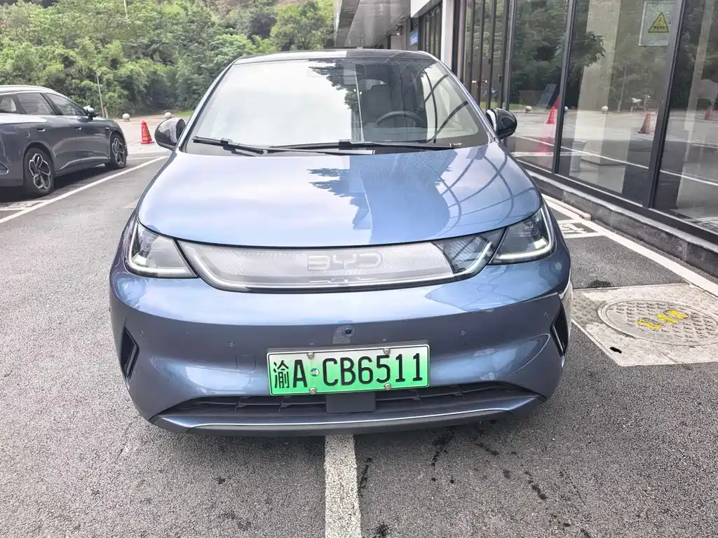 BYD Dolphin — миниатюра 2