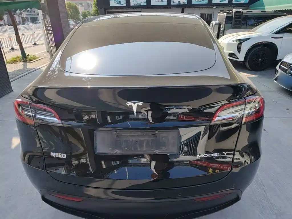 Tesla Model Y — миниатюра 6