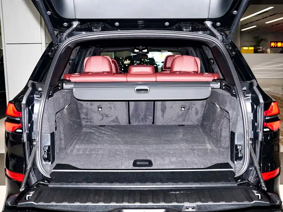 BMW X5 — миниатюра 14