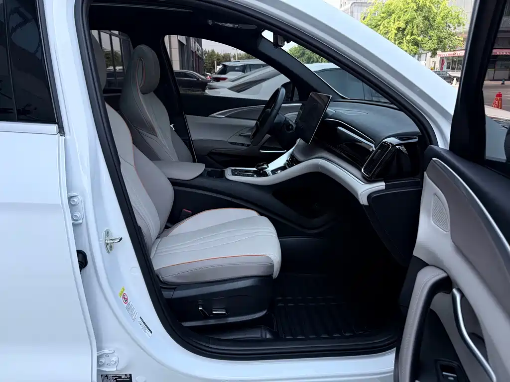 BYD Pro New Energy — миниатюра 27