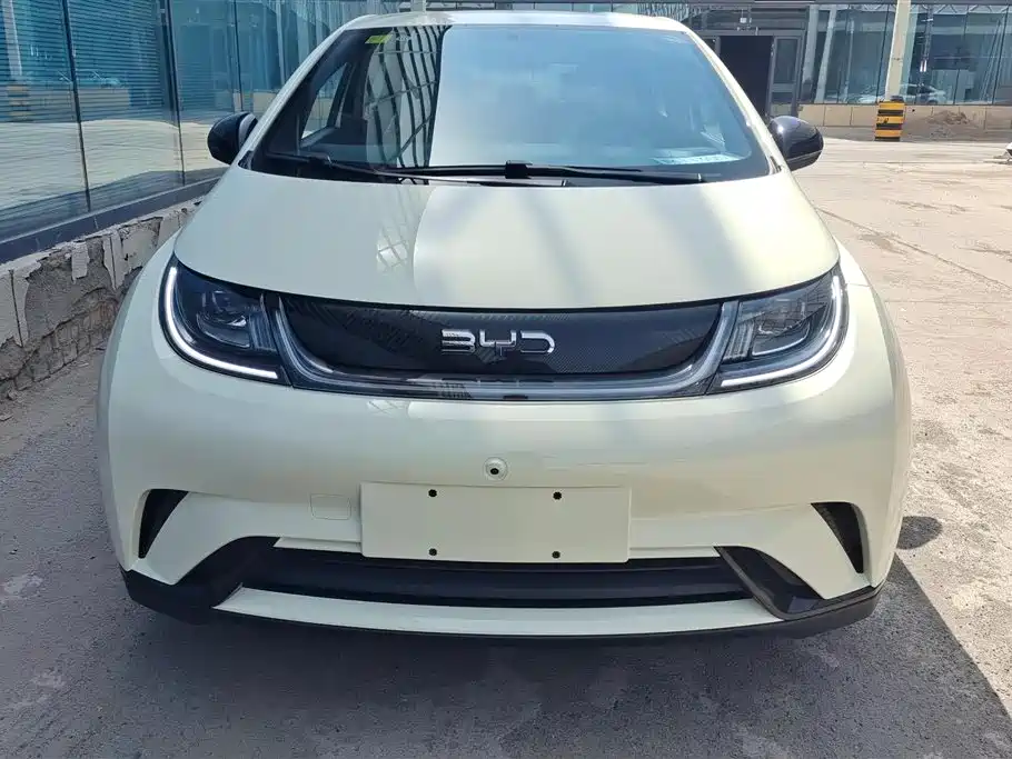 BYD Dolphin 2025 420km Freedom