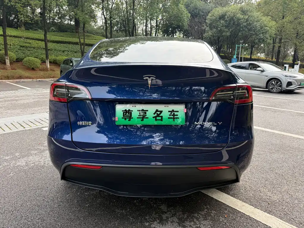 Tesla Model Y — миниатюра 14
