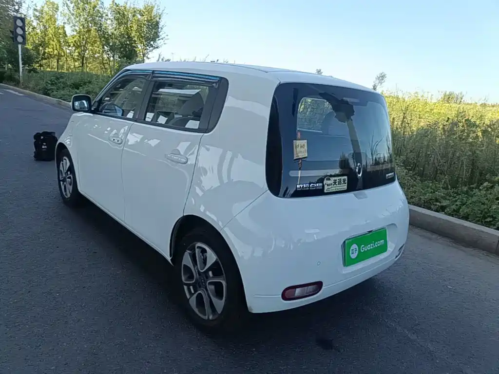 Ora Ora White Cat — миниатюра 5
