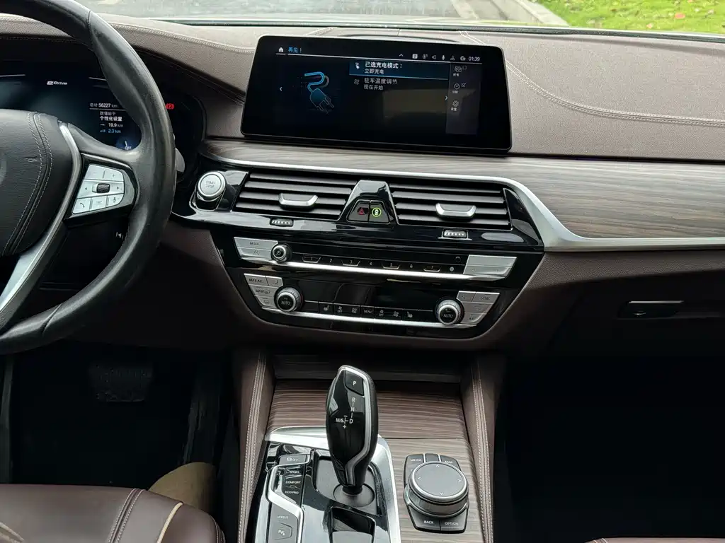 BMW 5 Series 5 2020 530Le Luxury