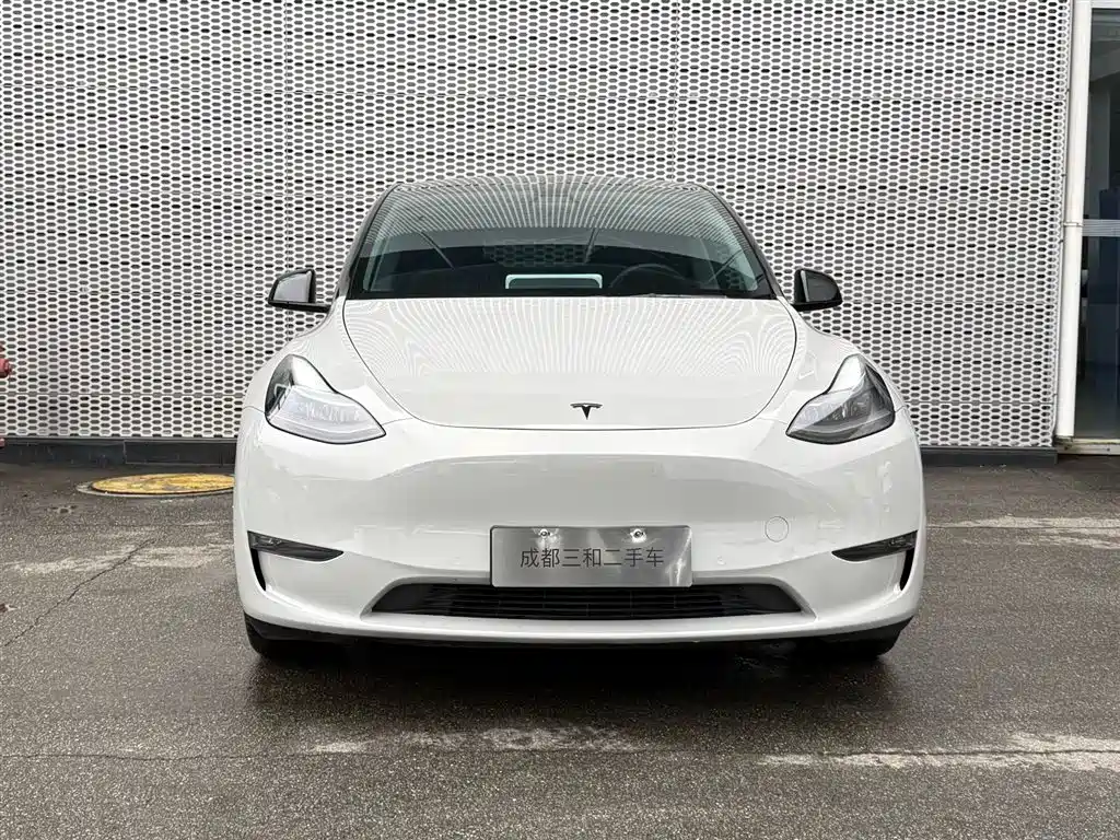 Tesla Model Y — миниатюра 2