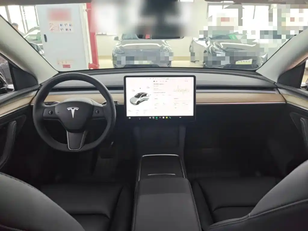 Tesla Model Y — миниатюра 10