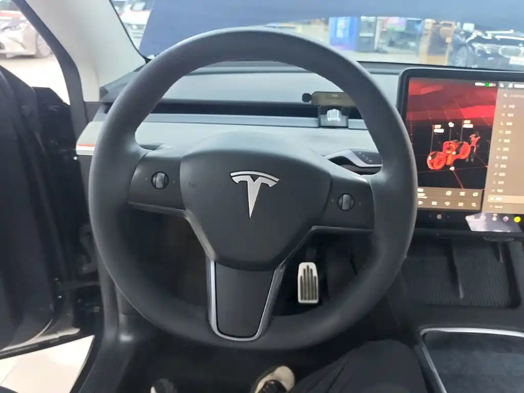 Tesla Model Y — миниатюра 11