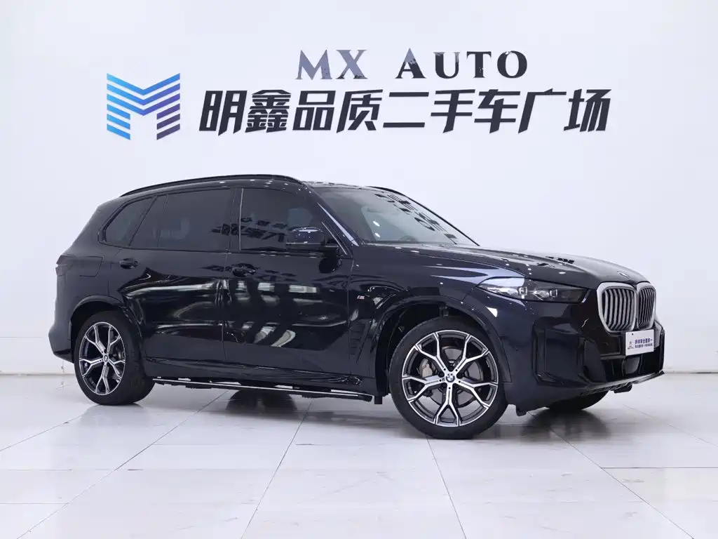 BMW X5 — миниатюра 5