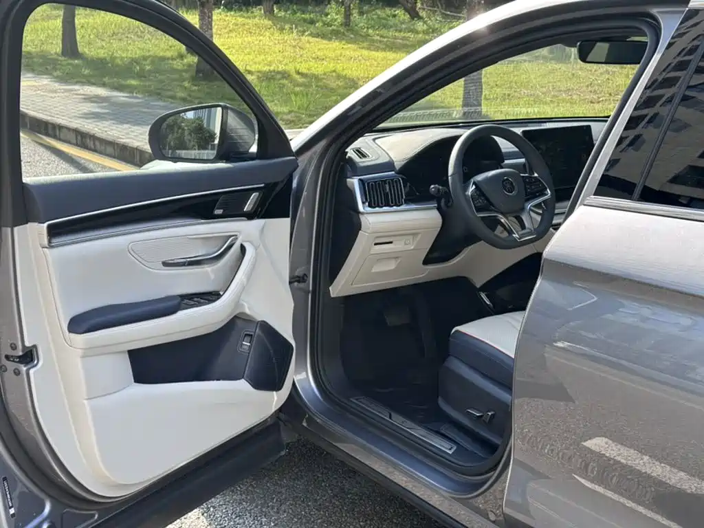 BYD PLUS New Energy — миниатюра 15