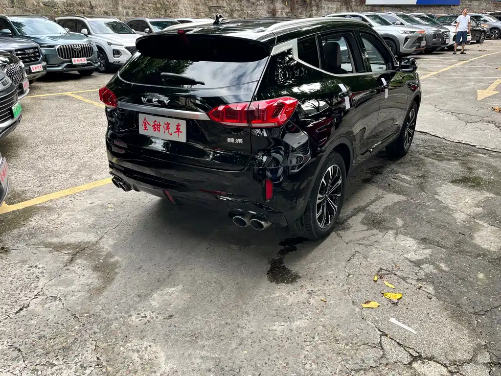 Wey Wey VV6 — миниатюра 6
