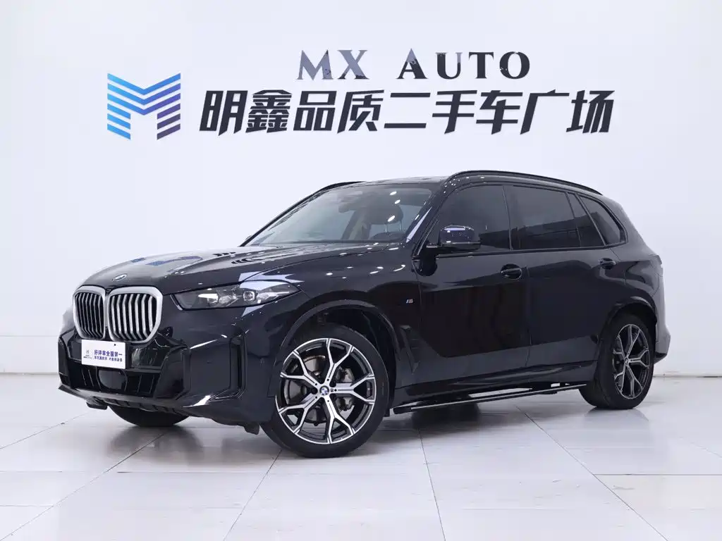 BMW X5 — миниатюра 2