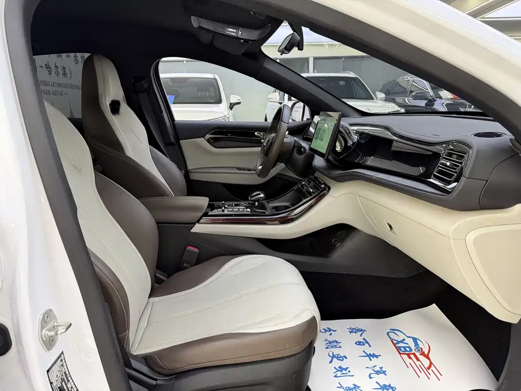 BYD Qin PLUS — миниатюра 6