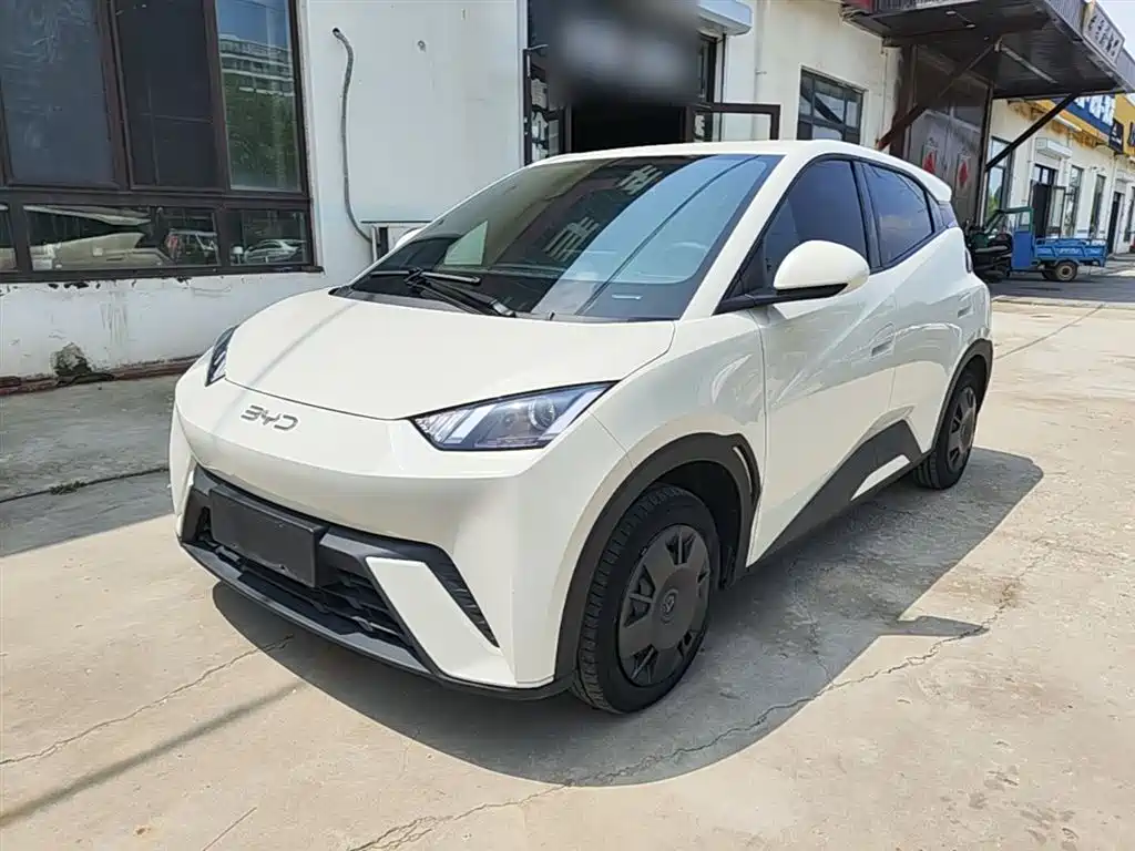 BYD Seagull 2024 Glory Edition 305km Vitality Edition
