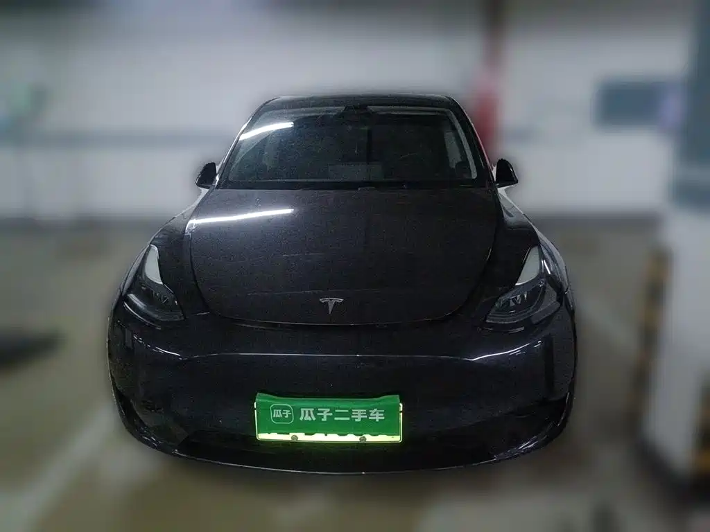 Tesla Model Y — миниатюра 2