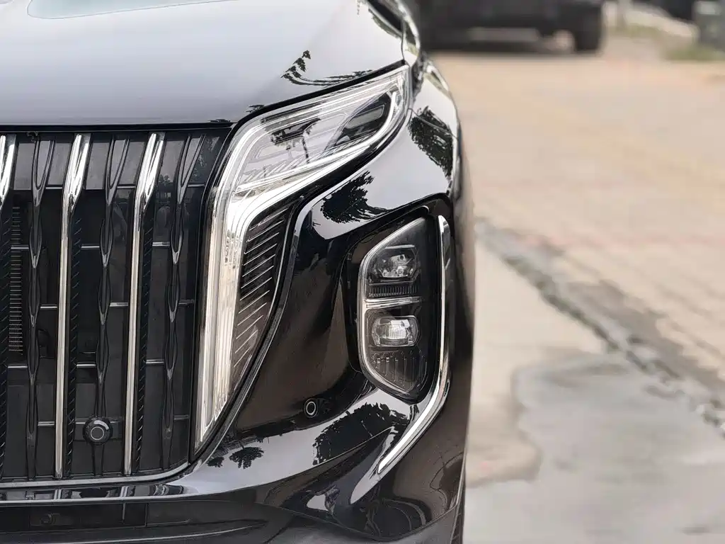 Hongqi Hongqi HS7 PHEV — миниатюра 7