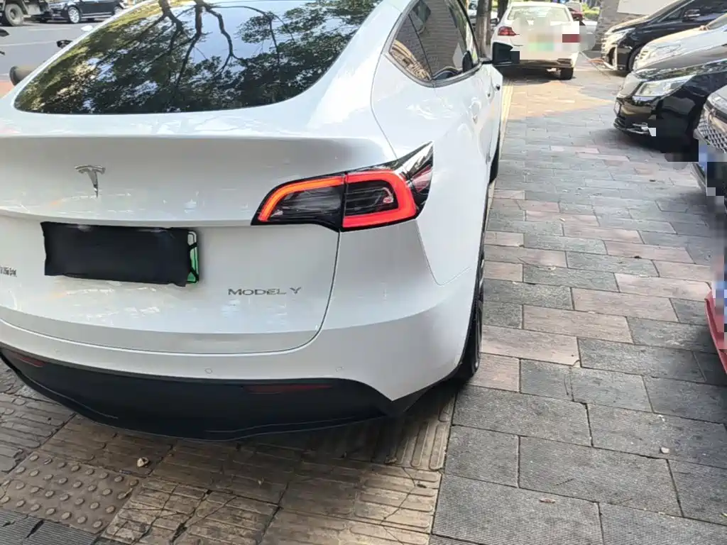Tesla Model Y — миниатюра 8