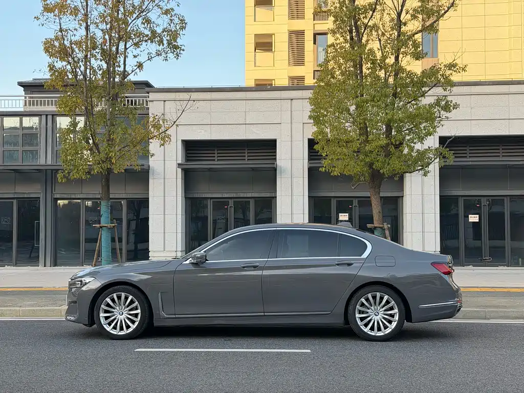 BMW 7 Series 7 2019 730Li Luxury